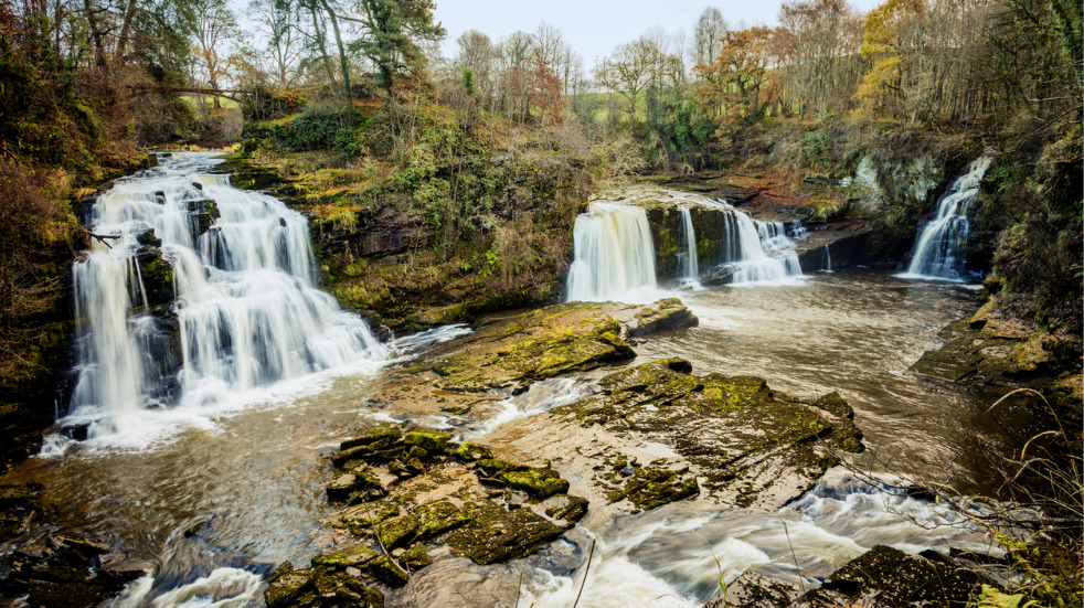 Falls of Clyde Wildlife Reserve Edinburgh